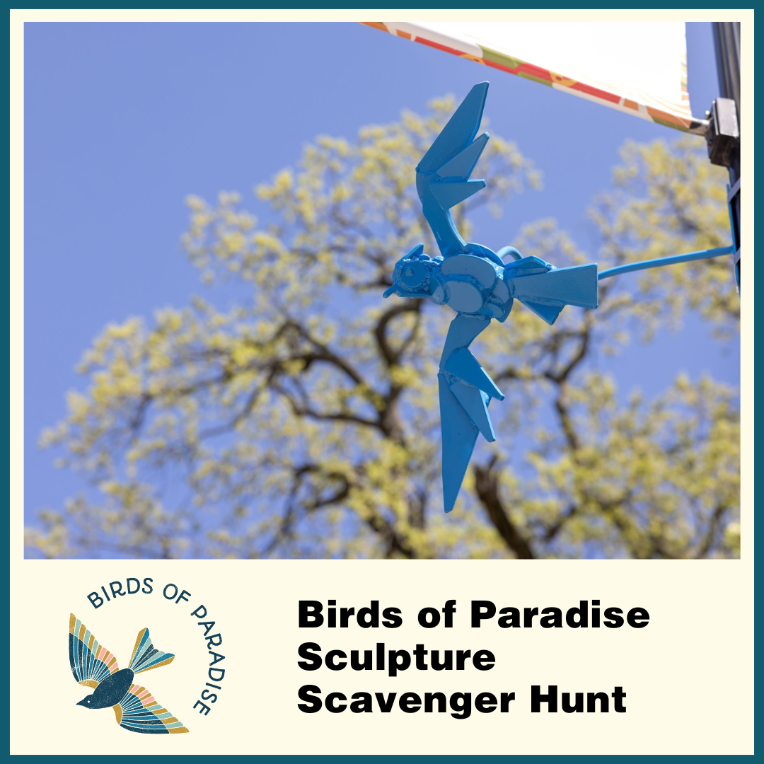 Birds of Paradise Button