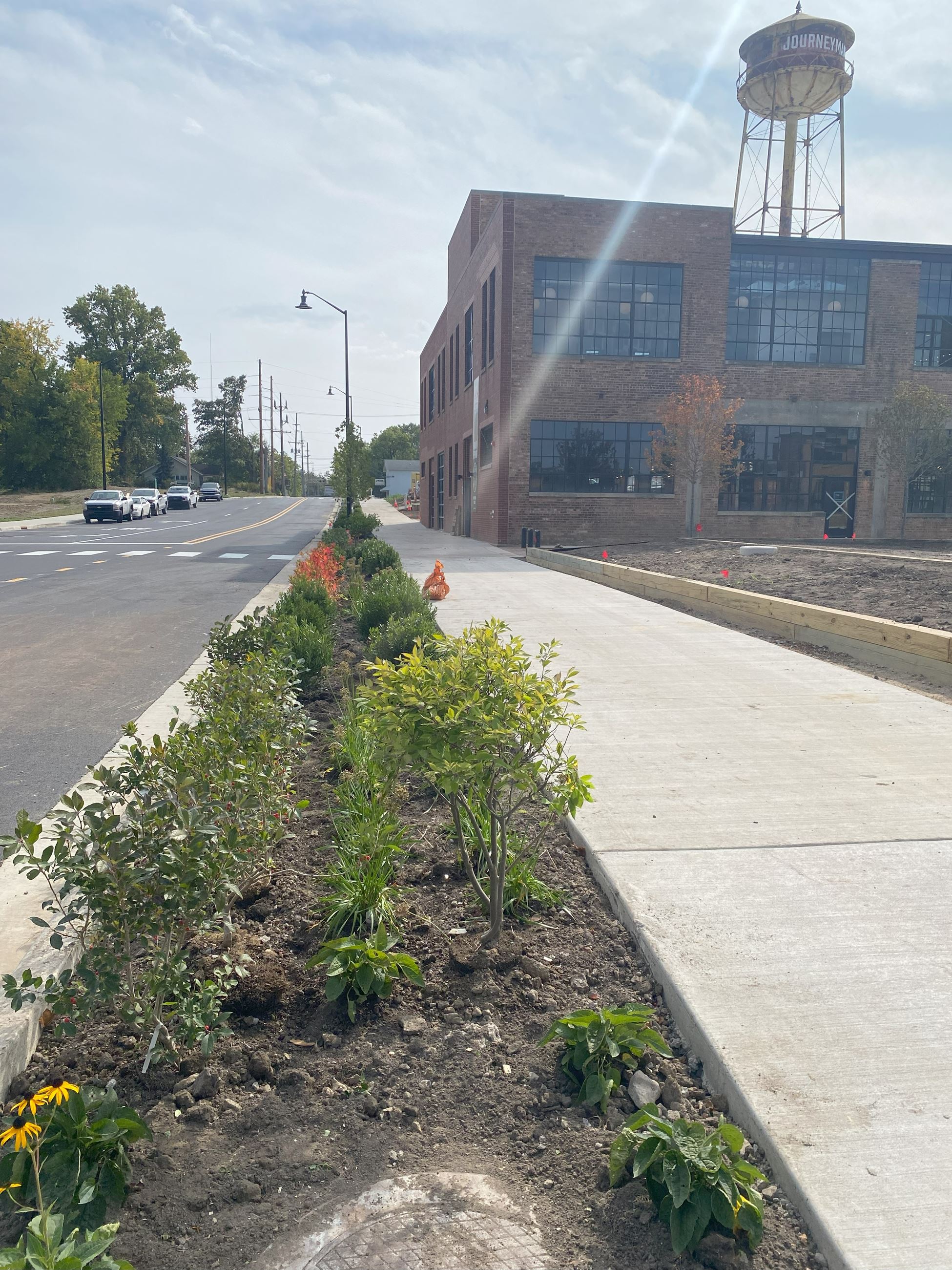 Campbell Streetscape (1)