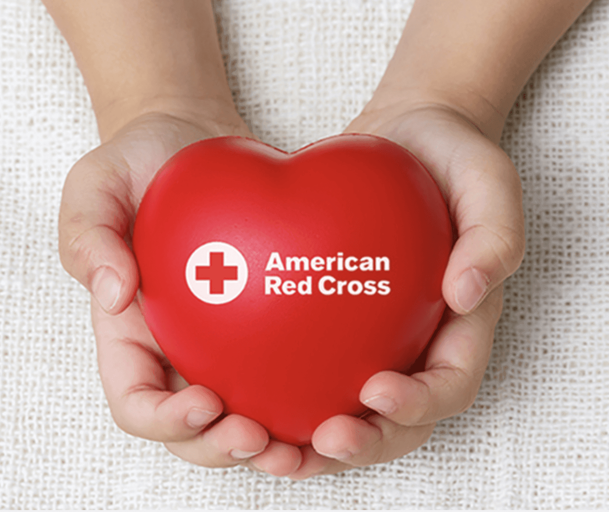 blood drive red cross